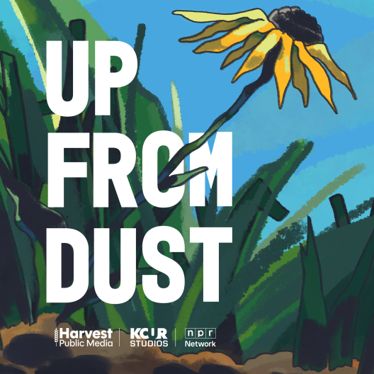 Grass with singular sunflower, blue sky and words "Up From Dust"