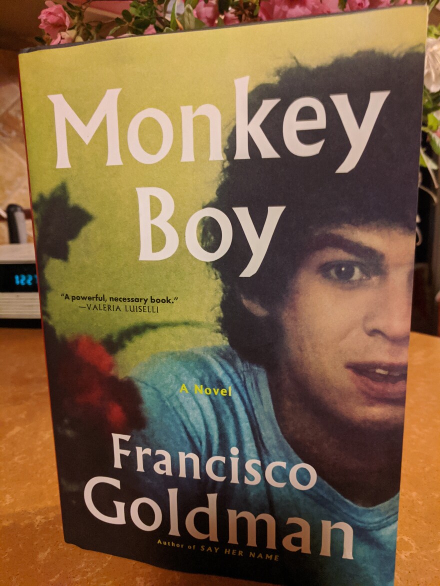 Monkey Boy by Francisco Goldman