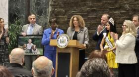 Assemblymember Yudelka Tapia, D-Bronx, speaks at a Donate Life event on Tuesday, March 31, 2026, in Albany.
