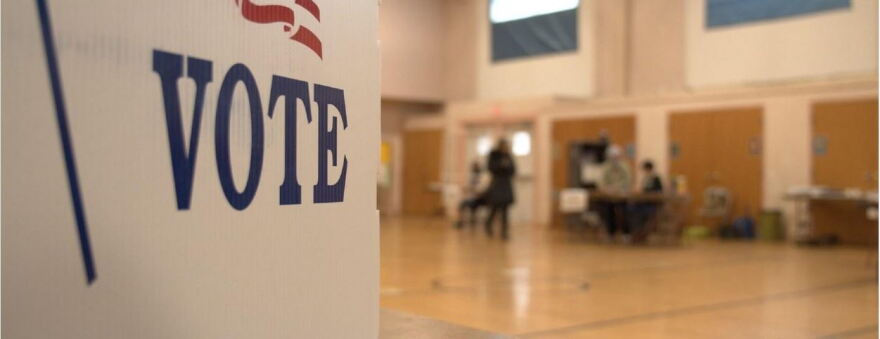 A VOTE sign in the foreground, with people voting in a gymnasium in the background
