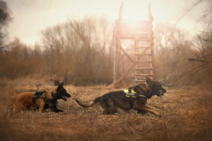 4Corners K-9 Search and Rescue uses K-9 rescue dogs to search for missing persons on Native American tribal land,