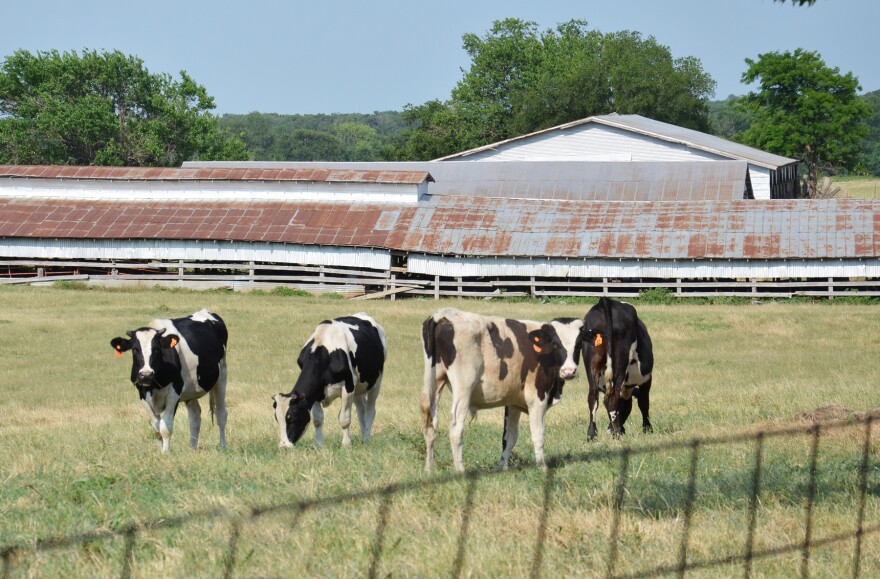USDA's Conservation Stewardship Program is accepting applications for the $100 million available to farmers and ranchers.