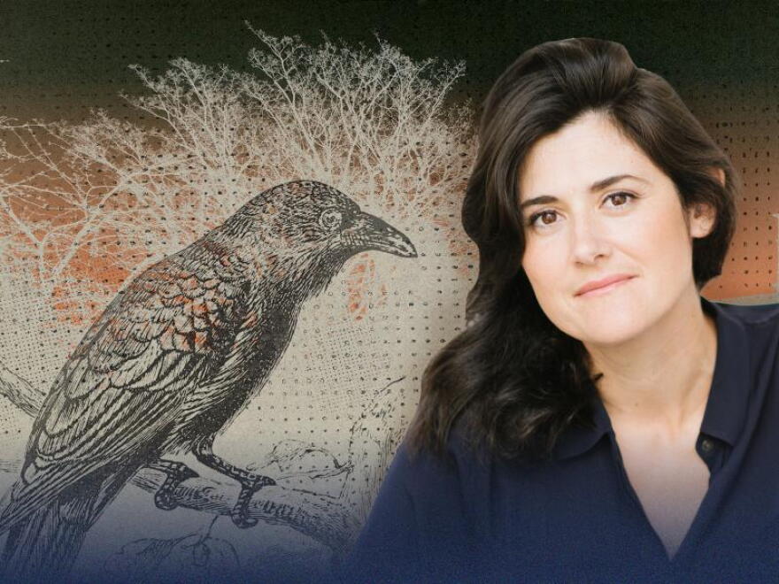 Professor Emily Ogden's new book, Darkness Becomes Bright, offers new perspectives on Poe.