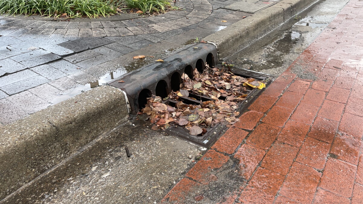 Here's Your Chance to Adopt a Drain