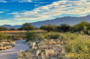 vistoso pond 
