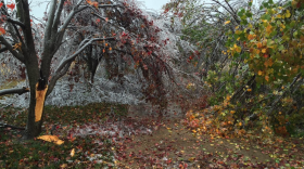 Storm damage at a home in Piedmont after the Thanksgiving 2015 ice storm.