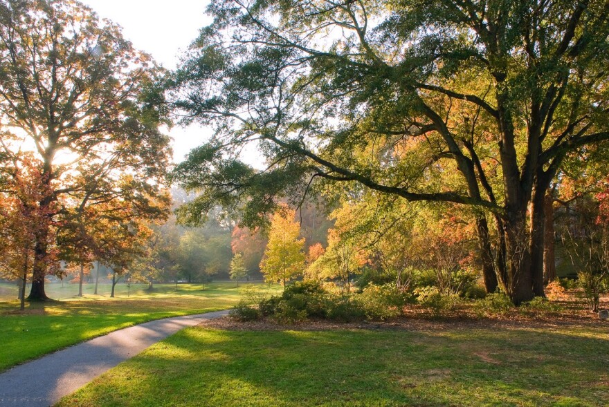 thumbnail_Dellwood, Olmsted Linear Park, Atlanta GA - credit Olmsted Linear Park Alliance.jpg