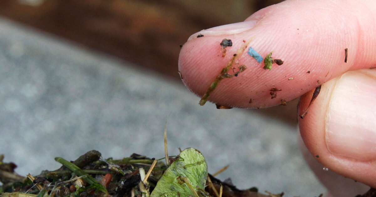 How much microplastic is in Washington's Yakima River?