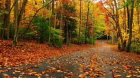 Photo courtesy - Shutterstock