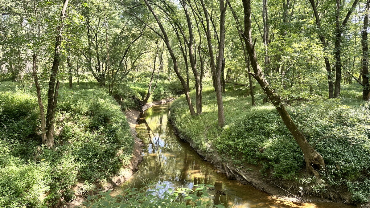 Reclaiming nature: A look at Southern Indiana's Origin Park - Vimarsana News