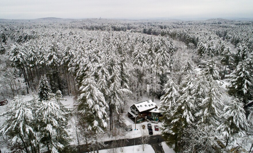 Wendy Thomas' house in the woods, near Wildcat Falls in Merrimack, New Hampshire. 