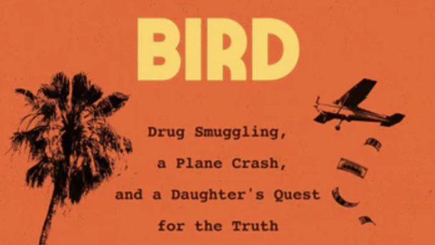 Cover for the book No Ordinary Bird by Artis Henderson.