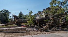 Storm damage in Grinnell after a derecho in 2020. A fallen tree lays across the yard of someone's home.