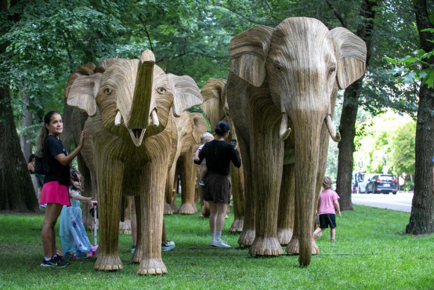 Families walk among the anatomically accurate elephant sculptures in "The Great Elephant Migration" on Commonwealth Avenue Mall in Boston. (Robin Lubbock/WBUR)