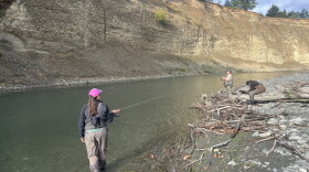 People wearing waders fish on the banks of a river. 