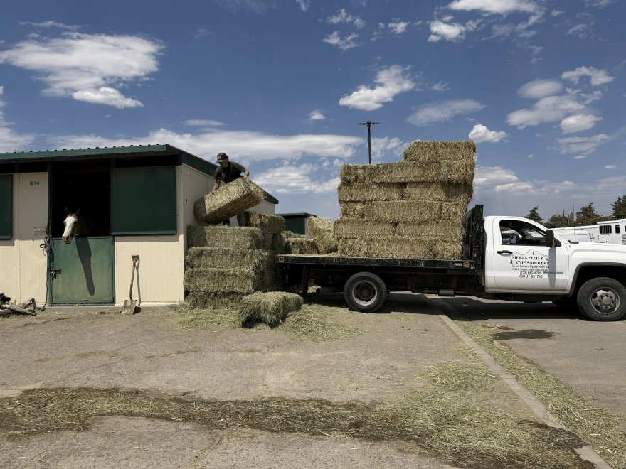 Hay is being delivered to the stalls for horses and other animals.