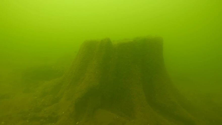 Scuba diving gives the Candlewood Lake Authority a better picture of what's going on below the surface.
