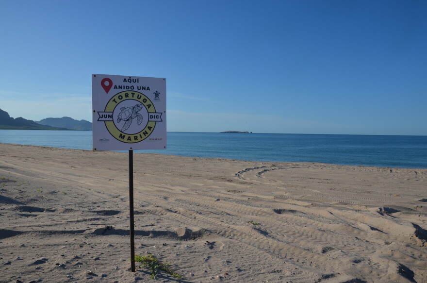 A sign explains to visitors that sea turtles nest on this beach from the months of June to December.