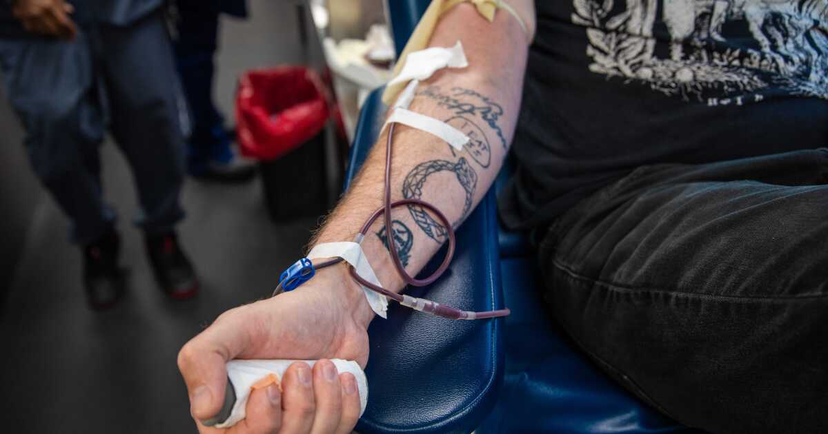 Politics consume D.C. Mardi Gras; blood donations see winter drop; NOMA presents work of Hayward Oubre