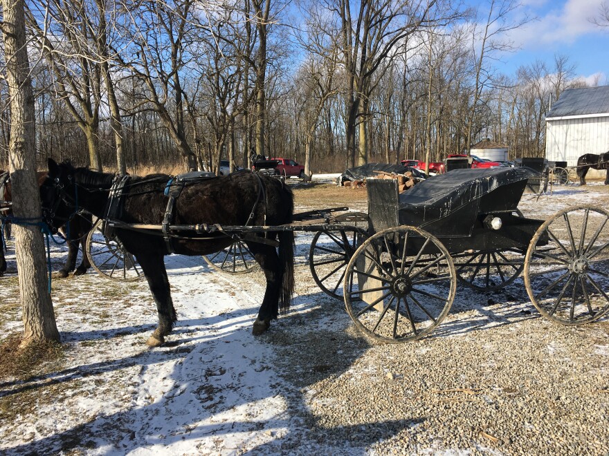 Amish transportation