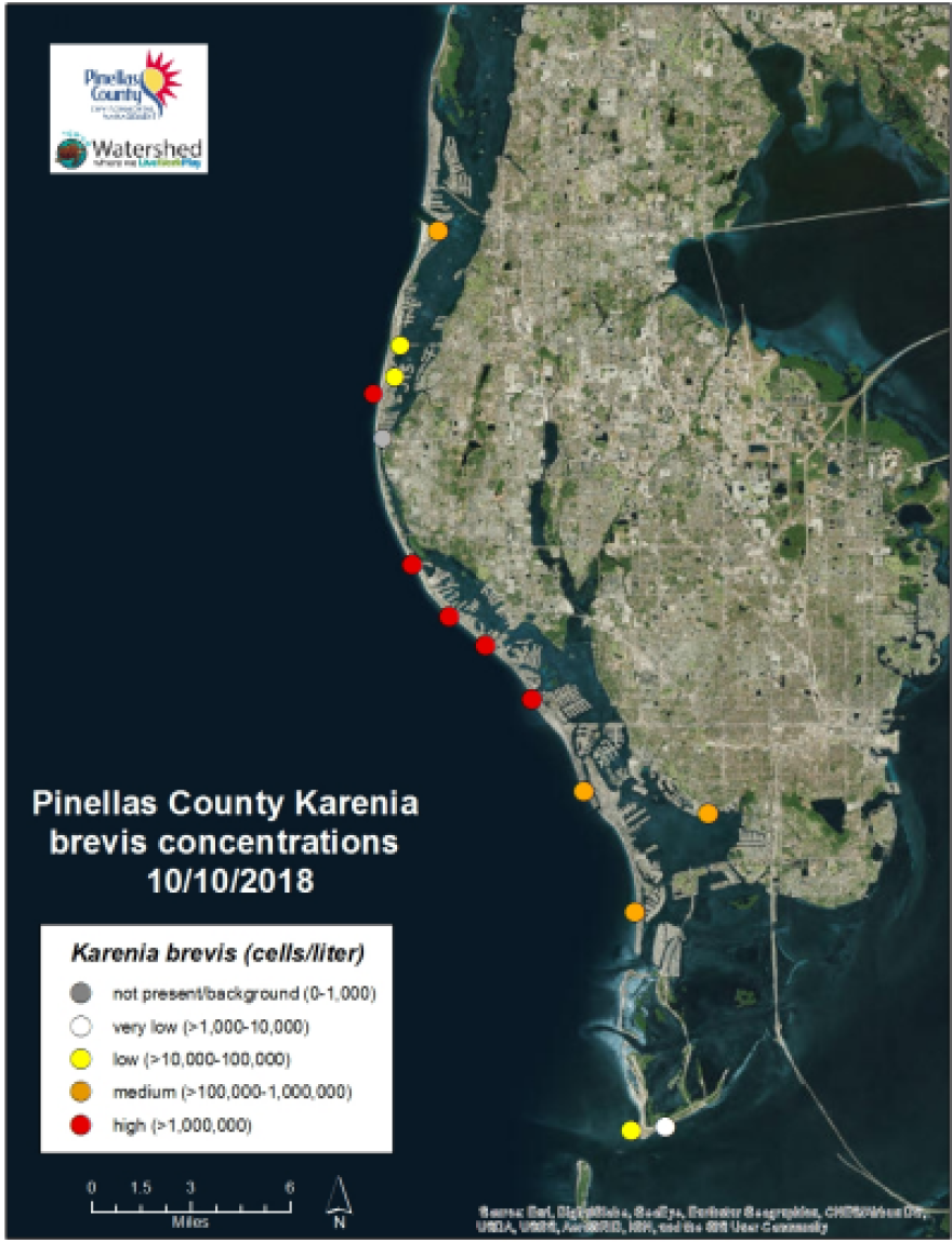 Many Pinellas County beaches reported a high concentration of red tide cells.