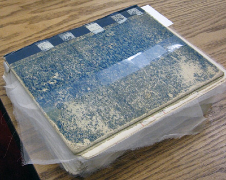 Joyce's \"scribble-d-hobble\" notebook