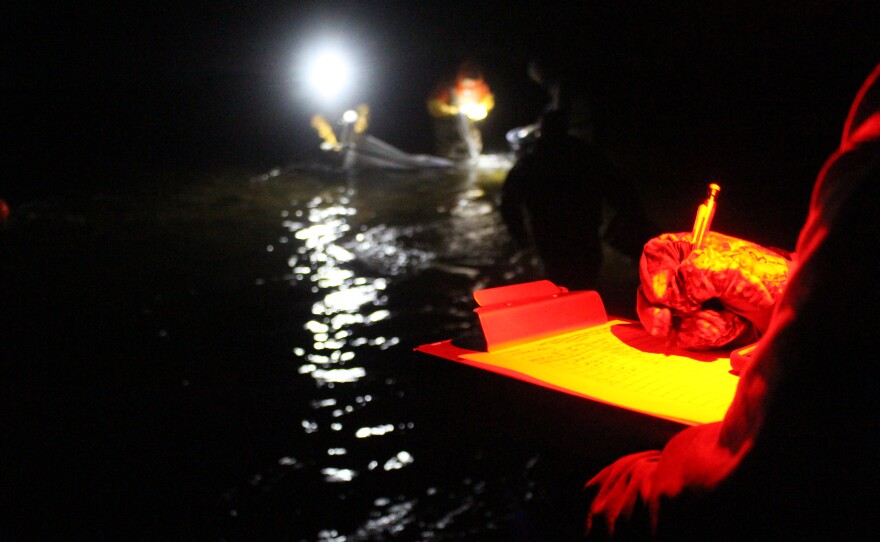 A flow meter is attached to each net in order to calculate how much water is passing through. Measurements are taken at 20-minute intervals. "If we catch a certain amount of fish, we can then back-calculate how many pass through, roughly," said Angel Guerrero. "Then we get an idea of how successful the stocking was." (Photo: Ellie Katz/IPR News)
