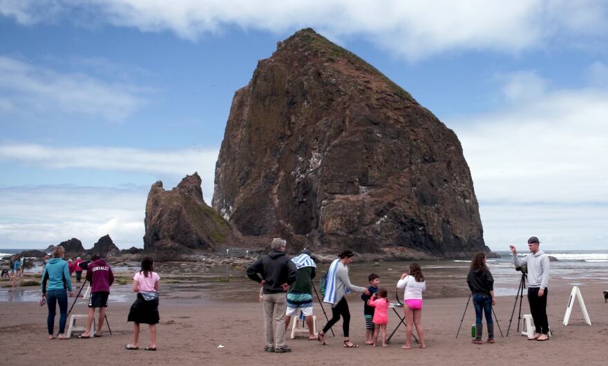 After paying a surprise visit to Haystack Rock, a cougar has left ...