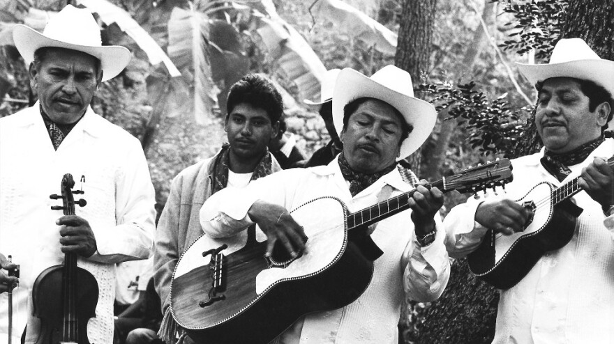 Violinist Heliodoro Copado (left) of the trio Los Camperos de Valles is considered among the best musicians of the son huesteco style.