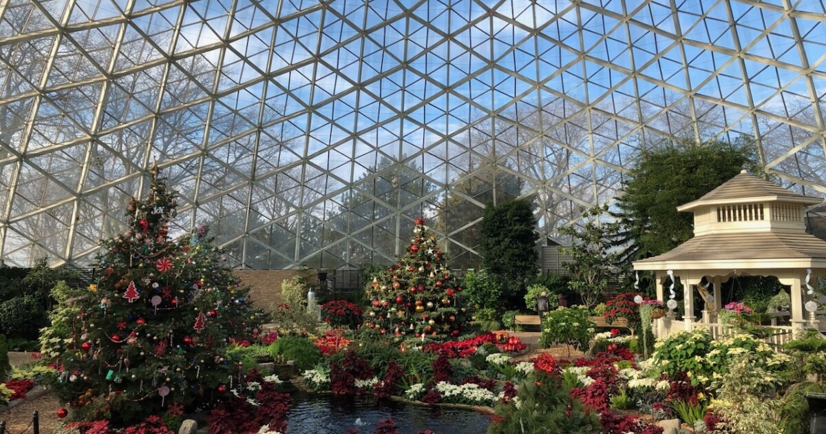 Experiencias de Milwaukee para regalar esta temporada navideña |  WUWM 89.7FM