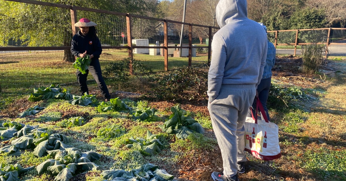 What fewer area farms mean for the Charlotte region