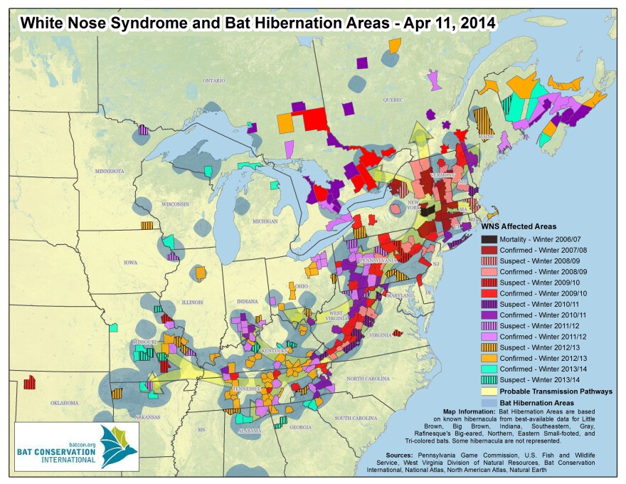 Map showing where bats have been affected by white-nose syndrome.