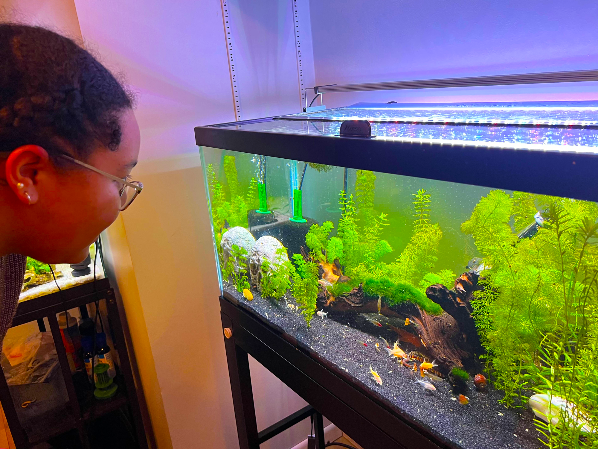 A Wichita fish lover escapes into aquascapes episode artwork