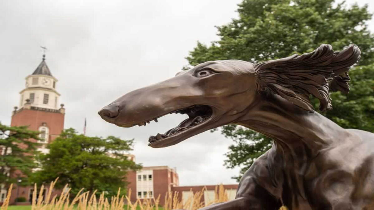 SIU Alumni Association awards more than $75K in student scholarships - Vimarsana News