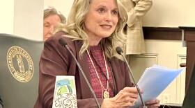 Kentucky Hospital Association President Nancy Galvagni testifies before a legislative committee 10-19-23