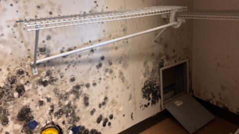 A photograph from an August 2026 Government Accountability Office report shows suspected mold in a barracks closet at Naval Station Norfolk.