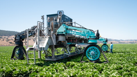 A large machine uses robotic arms to harvest lettuce in a field on a sunny day. 