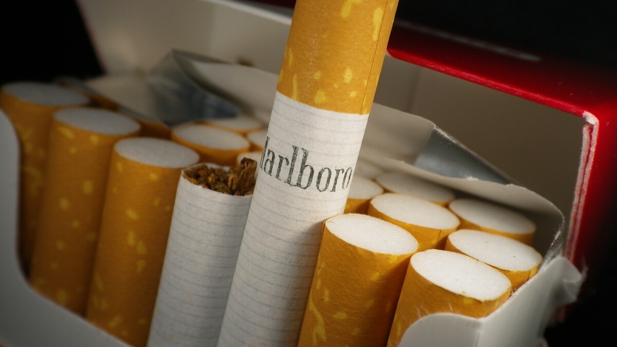 tobacco mosaic tobamovirus Tomato and Tobacco Mosaic Virus