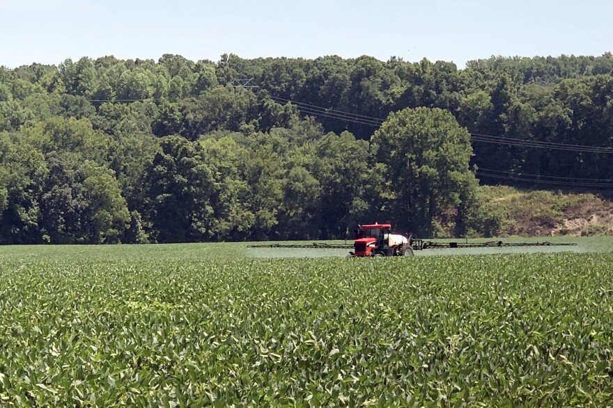 Indiana is one of the nation's leading states for soybean production. (Brock Turner, WFIU/WTIU News)