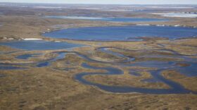A landscape view of water and tundra in northern Alaska.