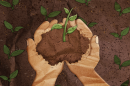 An illustration of two light-skinned hands cupped together holding a hand-full of soil. There is a green plant sprouting from the pile of brown soil the hands are holding. There is brown soil in the background with similar green sprouts. 