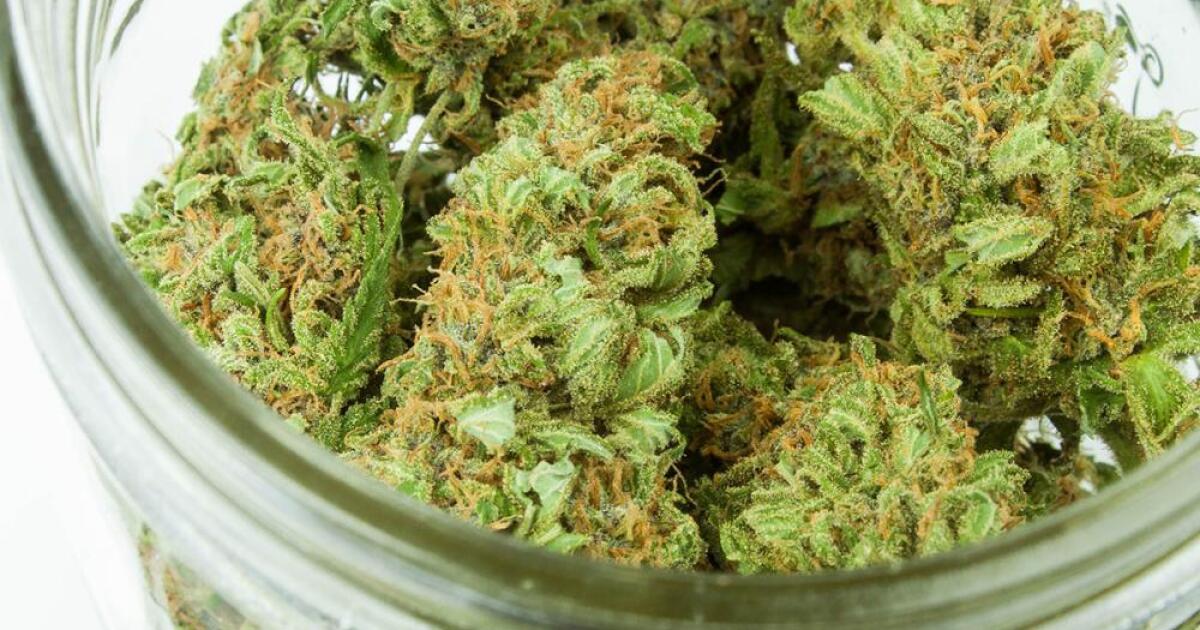 Cannabis industry files new legal challenge to Michigan's marijuana wholesale tax