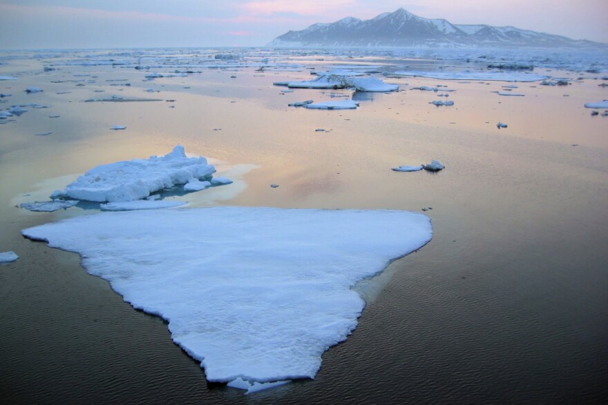 Sea ice floats in the Bering Strait off Cape Prince of Wales.