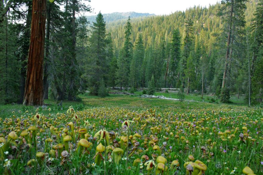 Photos courtesy of Backcountry Press, with photographer credits in image titles. All rights reserved.