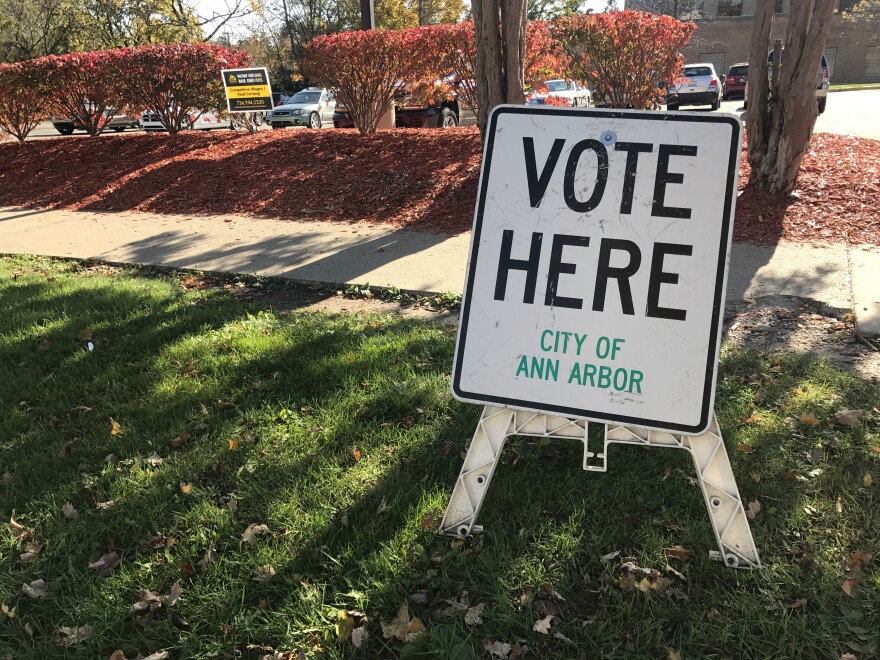 Sign with "vote here" in black text and "City of Ann Arbor" below it in green text. It is on a patch of grass in front of a sidewalk 