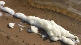 PFAS chemical foam has been showing up in some Michigan waterways.