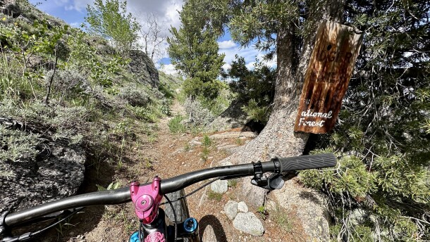 The handlebars of a mountain bike in front of a National Forest Service sign. 