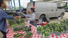 Food Justice Director of Tikkun Ha Ir Amanda McVann hands an empty carton to fill with vegetables to farmer Jenny Yang at the Fondy Farmers' Market.