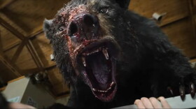 Cocaine Bear attacks