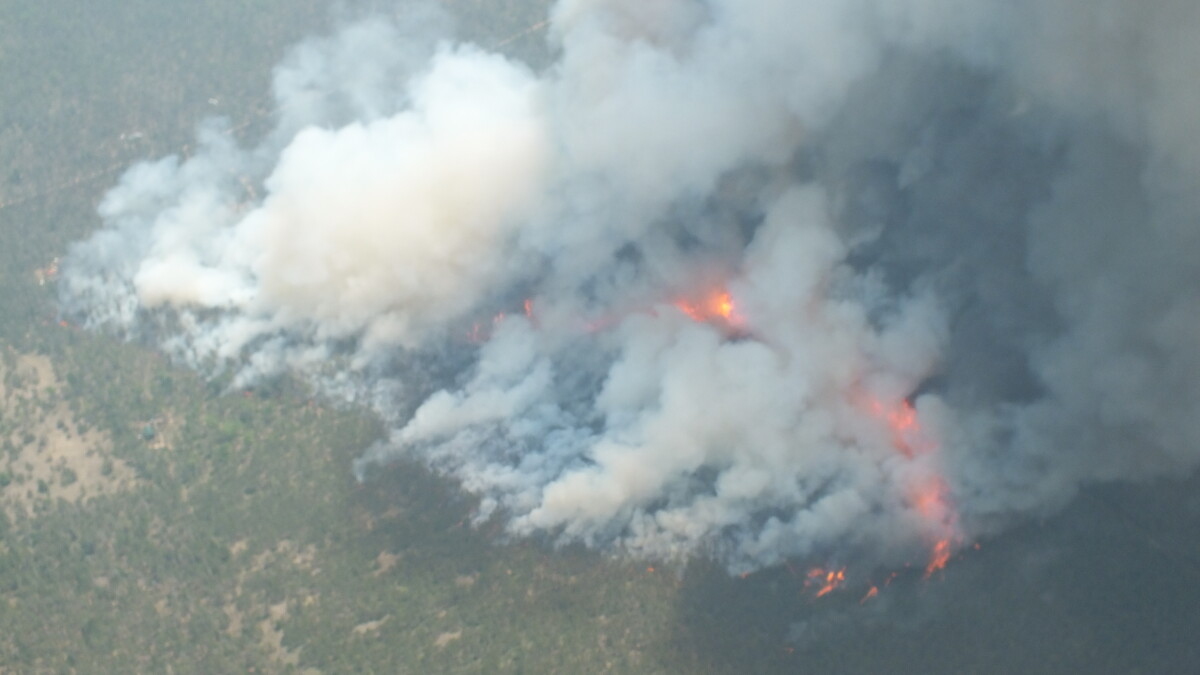 Stateside Podcast: What to do About MI's wildfires? - Vimarsana News